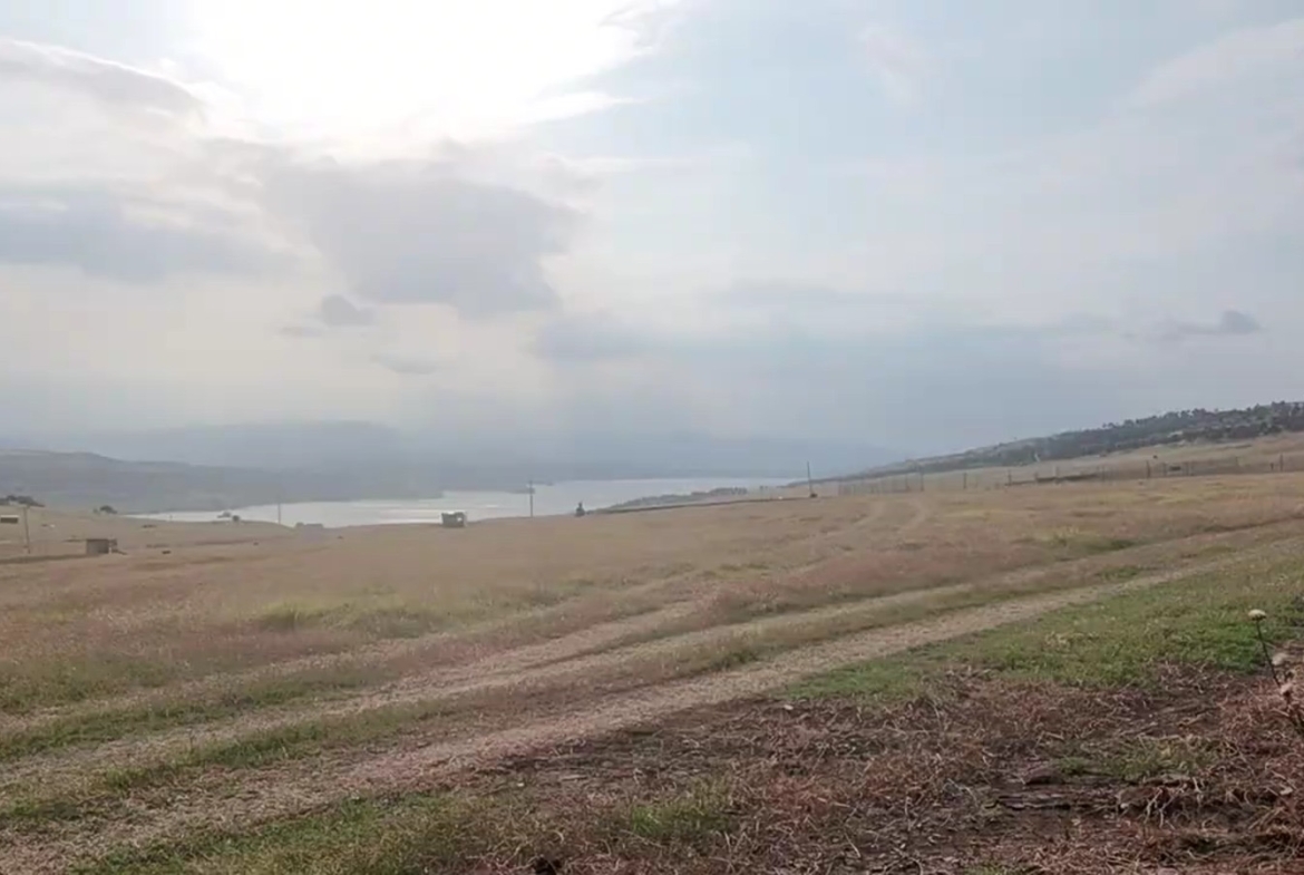 სასწრაფოდ იყიდება მიწა თბილისის ზღვაზე, ყველა კომუნიკაცია ადგილზეა!